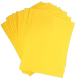 Laminated Envelope 10x14