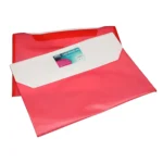 My Clear Bag Twin Pocket