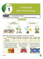 NSO Workbook for Class 1