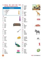 IEO Workbook